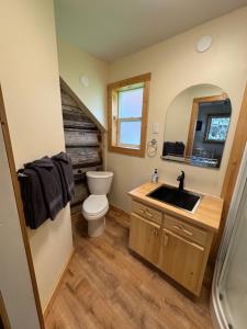 a bathroom with a toilet and a sink at Nakiska Bear Ranch in Clearwater +117 photos
