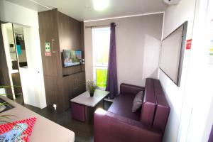a living room with a purple couch and a window at Lodges camp in Setúbal
