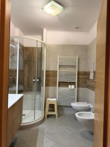 a bathroom with a shower and a toilet and a sink at Cozy tiny flat in Cadore Dolomiti in Calalzo