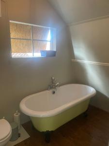 a white bath tub in a bathroom with a toilet at Oude Dorp Zicht in Urk +9 photos