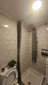 a bathroom with a toilet and a shower at Alma-Libre house 2 in Kefalos +43 photos