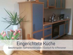 a kitchen with a blue cabinet and a potted plant at Hof Heideland 1 in Eichholz