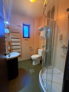a bathroom with a toilet and a sink and a shower at Pensiunea Carpatic Trei Brazi Predeal in Predeal +76 photos
