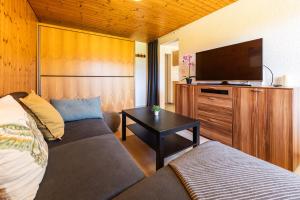 a living room with a couch and a flat screen tv at Luna in Thun +15 photos