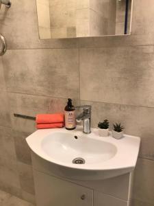 a bathroom with a white sink and a mirror at Central Boulevard Apartment in Šiauliai