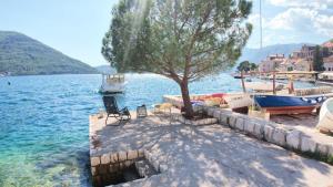 a tree sitting next to a body of water with boats at Stone House Perast in Kotor