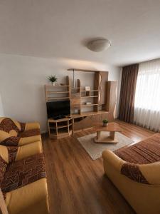 a living room with a couch and a television at Apartament Central in Moineşti