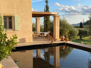a dog sitting on the edge of a swimming pool at Studio Gaia in Kythira
