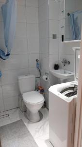 a white bathroom with a toilet and a sink at Apartament u Amelki in Toruń