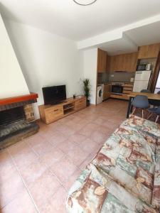 a living room with a television and a fireplace at Apartament l'Adou in Bagá