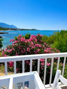a white railing with pink flowers and the ocean at Riviera Beach Bungalows in Kyrenia +23 photos