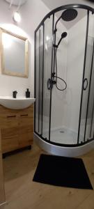 a bathroom with a shower with a sink and a mirror at Ostoja Semlińska in Semlin
