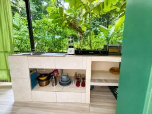 a kitchen with a window with a plant in it at Jungle Serenity Haven in Cocles