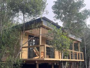 a tree house in the middle of the forest at FireFly Starry Woods Cabin in Keurboomstrand