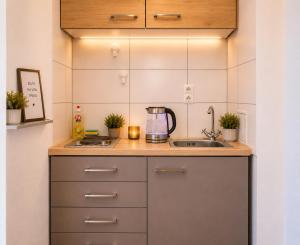 a kitchen with a sink and a counter top at Bellevue Residence l City Balkon in Koblenz +17 photos