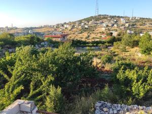 a view of a hill with houses and trees at The Mountain Village View اطلالة الجبل in ‘Ibbīn