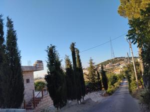 a road with trees on the side of a hill at The Mountain Village View اطلالة الجبل in ‘Ibbīn