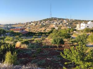 a view of a hill with houses on it at The Mountain Village View اطلالة الجبل in ‘Ibbīn
