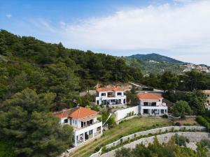 an aerial view of a house on a hill at Helen's 11 boutique in Achladies