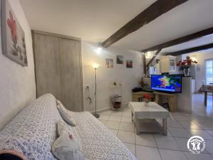 a living room with a couch and a tv at La paraguère in Sorède