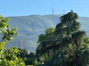 Ein Baum im Vordergrund, im Hintergrund ein Berg. in der Unterkunft Citadel 360 Suites & Spa in Skopje + 31 Fotos