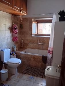 a bathroom with a toilet and a bath tub at Deli House in Promírion +12 photos