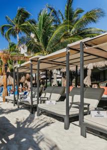 a row of beds on a beach with palm trees at Luciana Hotel & Beach Club in Playa del Carmen