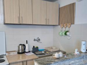 a kitchen with wooden cabinets and a counter top at Guesthouse Jelena in Višegrad