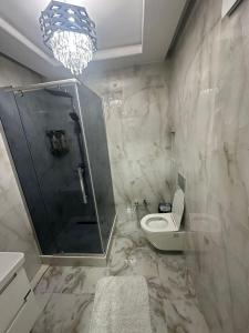 a bathroom with a shower and a toilet and a chandelier at Бахт in Bishkek