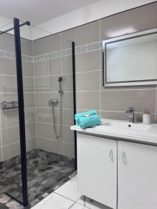 a bathroom with a shower and a sink at Résidence Atoumo in Rivière-Pilote
