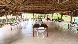 a group of tables and chairs in a restaurant at Drift Inn Cayo in Santa Elena