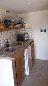 a kitchen with a sink and a microwave at Finca La Vilina - Tiny House in San Rafael