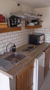 a kitchen counter with a sink and a microwave at Finca La Vilina - Tiny House in San Rafael +29 photos