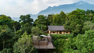 a house in the middle of a forest at P'apiu Resort in Ha Giang