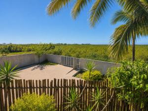 a patio with a fence and a palm tree at Casa Mangrove in Maputo