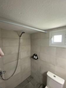 a bathroom with a shower and a toilet at Apostolis Seaside Living in Olympiada +13 photos