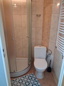 a bathroom with a toilet and a shower at Słoneczna Przystań in Kruklanki +60 photos