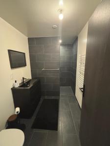 a bathroom with a shower with a sink and a toilet at Maison convivial in Vireux-Wallerand +5 photos