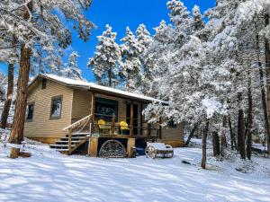 a cabin in the woods in the snow at Peaceful Pine Place Cabin in Pine