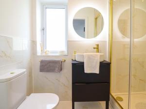 a bathroom with a sink and a toilet at Kingfisher in Talybont +24 photos