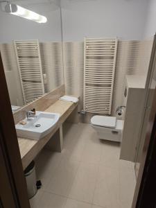 a bathroom with a sink and a toilet at Pensjonat Nad Rzeką in Wisła +54 photos