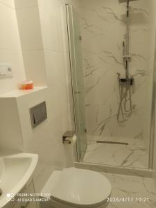 a bathroom with a shower and a toilet at pokoje do wynajecia in Giżycko +42 photos