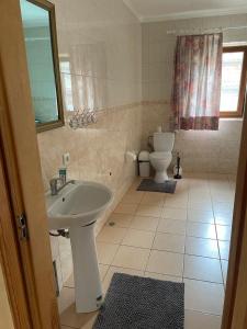 a bathroom with a sink and a toilet at Ангеліна in Svityazʼ