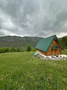 a log cabin with a green roof in a field at Vila Gorska in Šavnik
