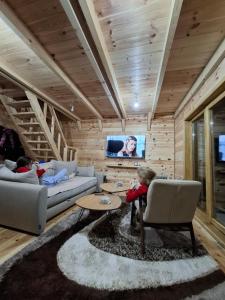 a living room with a couch and a tv at Vila Gorska in Šavnik
