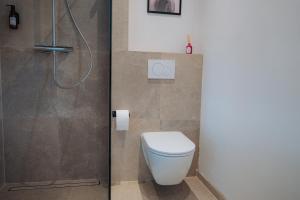 a bathroom with a toilet and a shower at Ferienhaus am Dillbach in Hagen