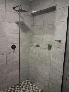 a shower with a glass door in a bathroom at Trendy Tranquility in Secunda +33 photos