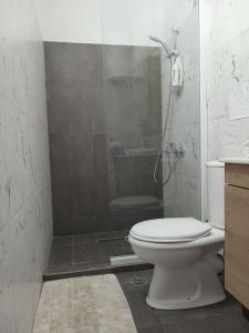 a bathroom with a white toilet and a shower at Guest House Nino's in Çorovodë +20 photos