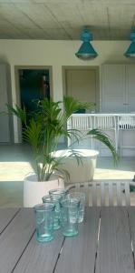 a group of glasses sitting on a table with a potted plant at Hampton Zalew Zegrzyński in Cupel
