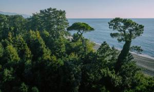 a view of a beach with trees and the ocean at Buknari Hotel in Buknari